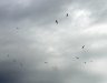DSC00876