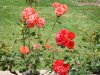 DSC00890