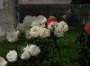 DSC00893