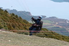 LN2010