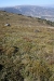 DPP_0035